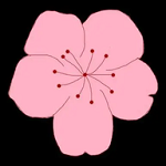 WWW,507se·COM网站APPAPP应用
